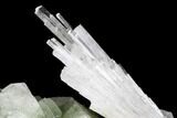 Scolecite Crystal Spray with Apophyllite and Stilbite - India #177524-1